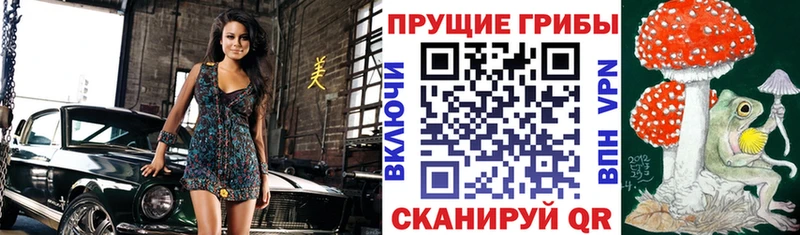 купить наркотик  Верхний Уфалей  Псилоцибиновые грибы мухоморы 
