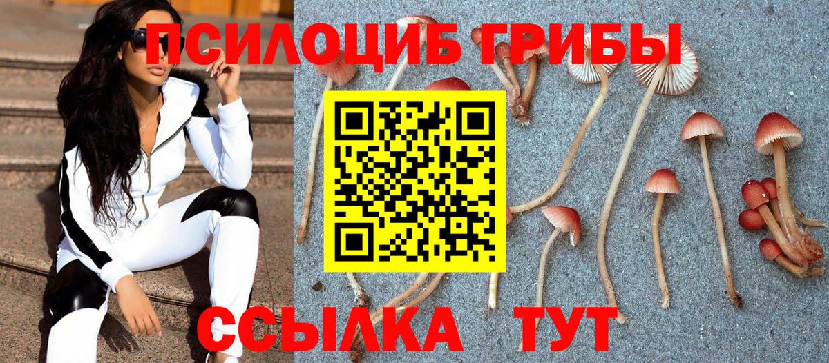 Галлюциногенные грибы Psilocybe  Вход с VPN  Верхний Уфалей 